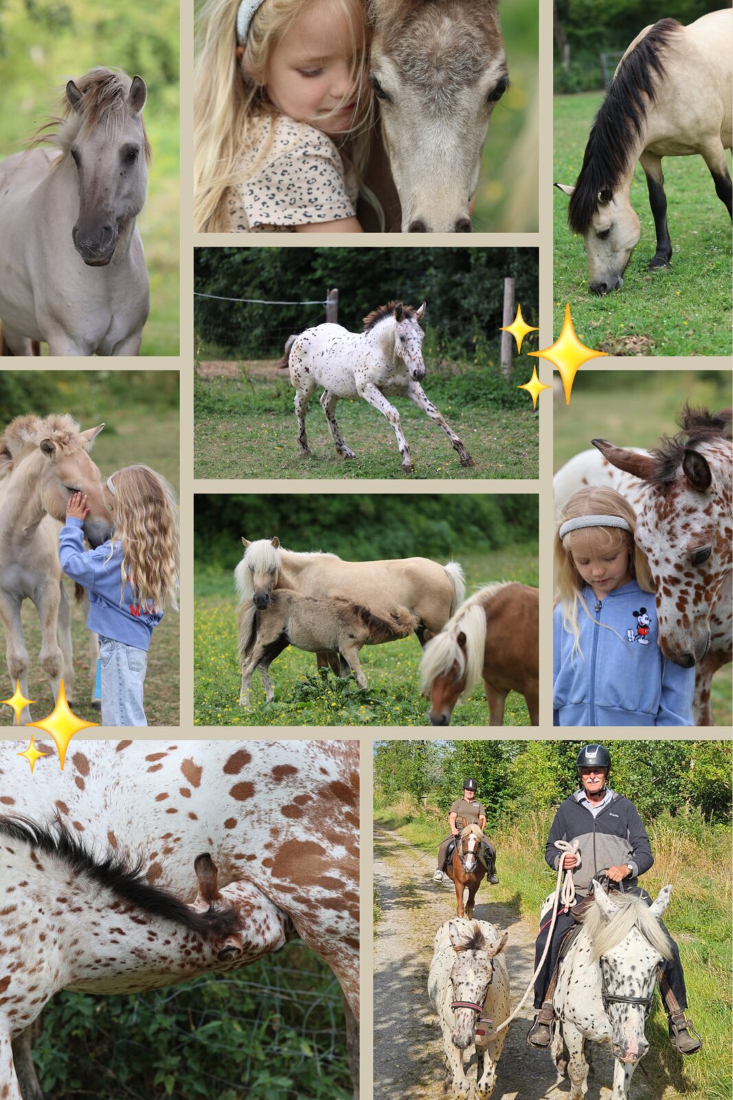 Fotocollage van de veulens van Nevada