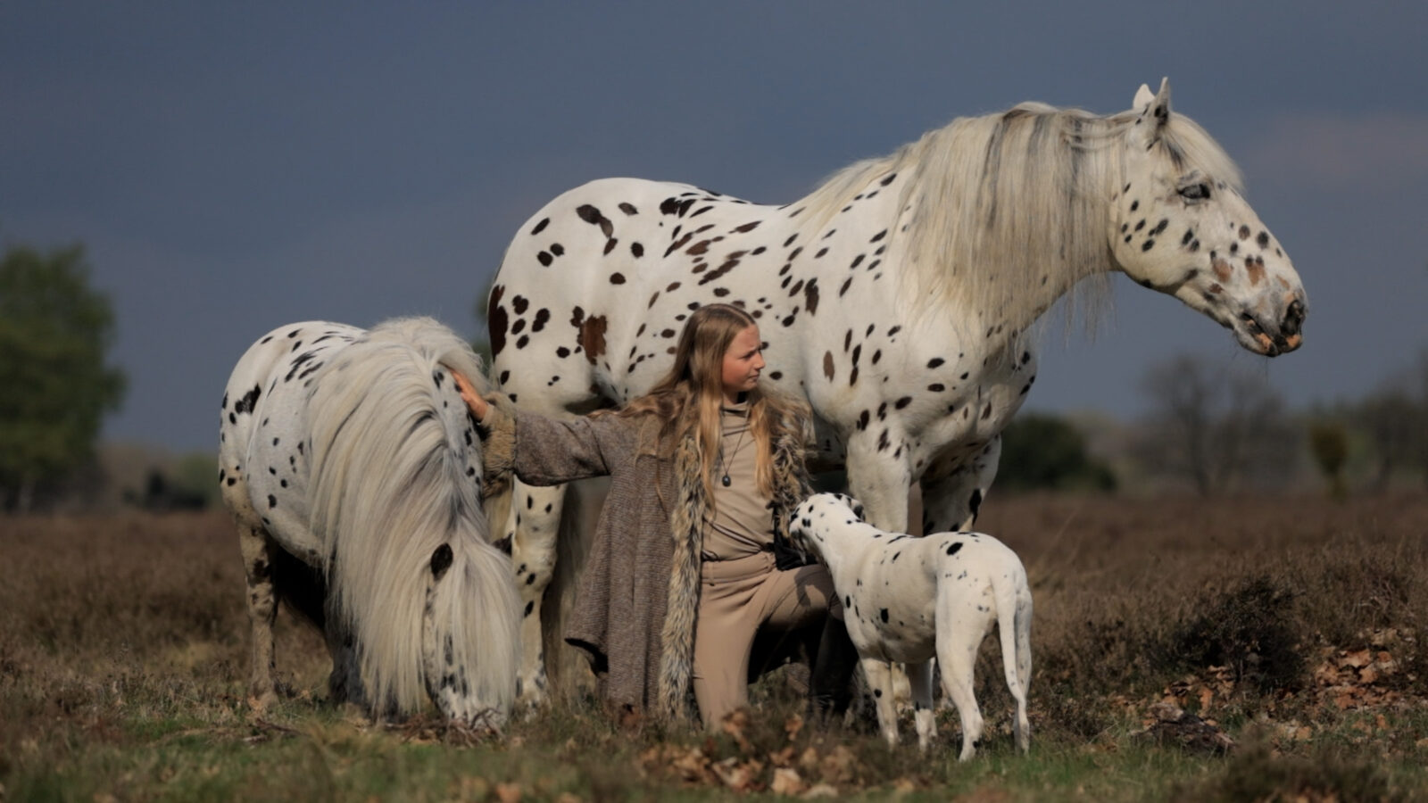 Jolie met haar paard