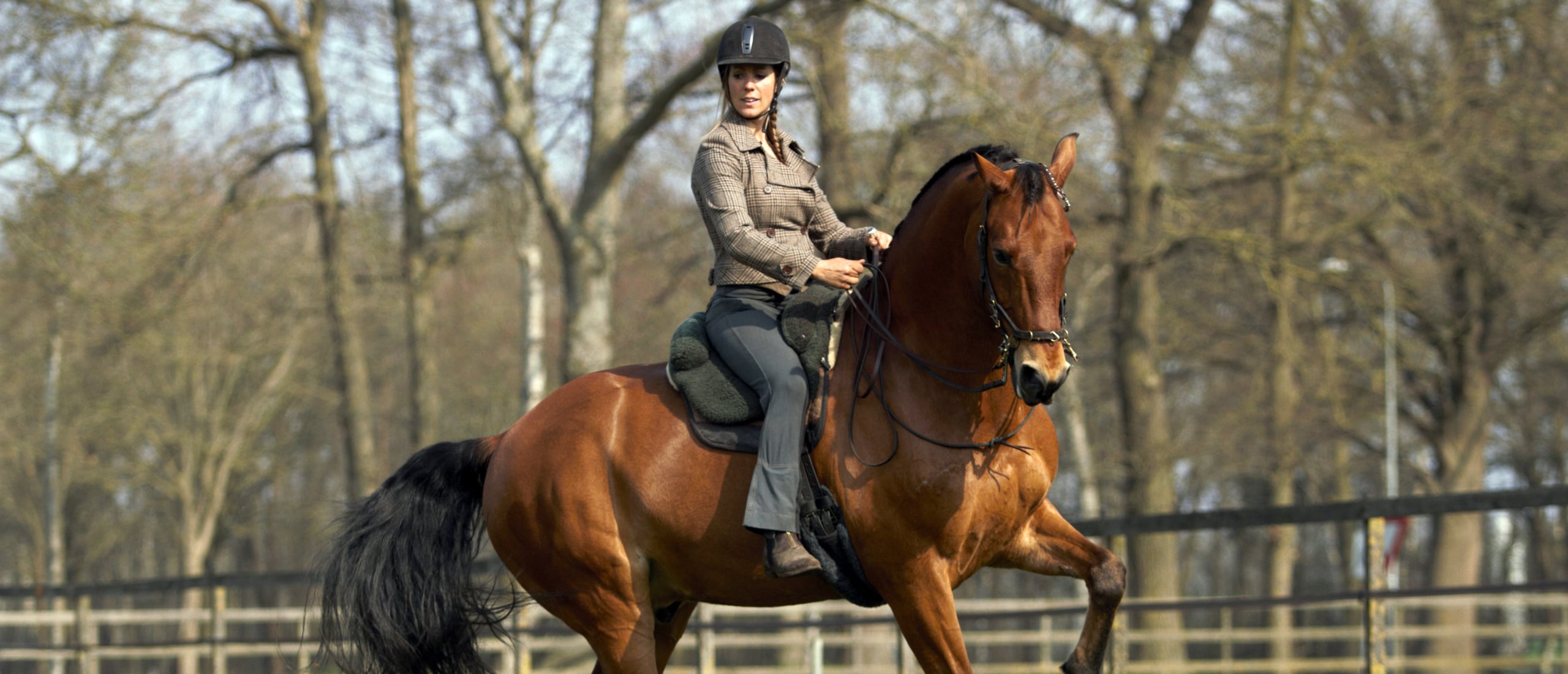 Greetje riding a horse in balance