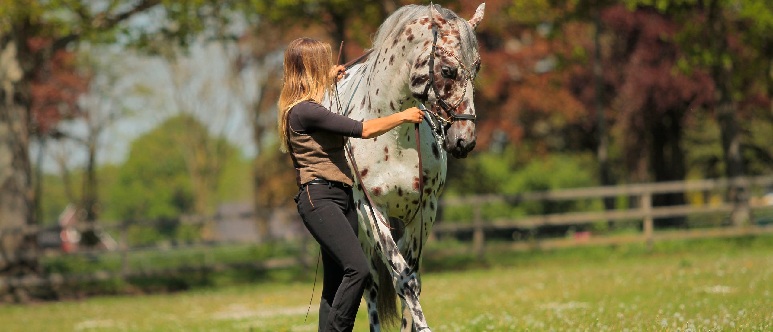 Greetje working a horse in hand