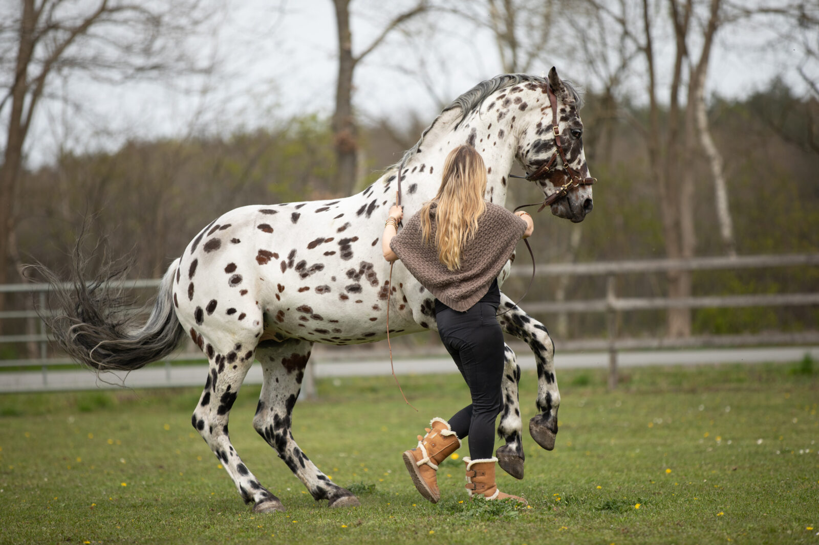 Greetje rijdt met neckrope