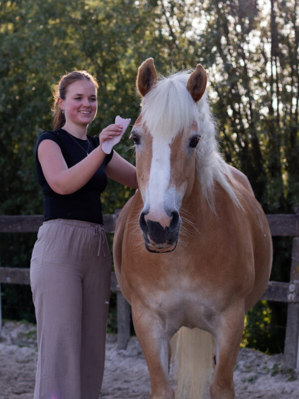 Lynn Zuidgeest, Gecertificeerd instructeur