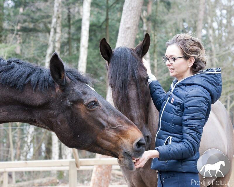 Ilze van Merrebach, Gecertificeerd instructeur