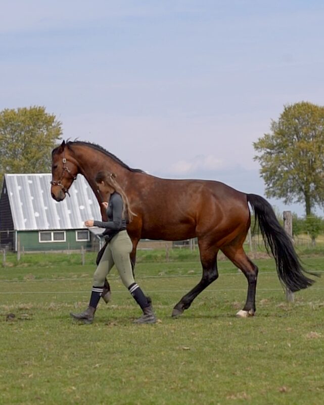 Marana Dam, Gecertificeerd instructeur