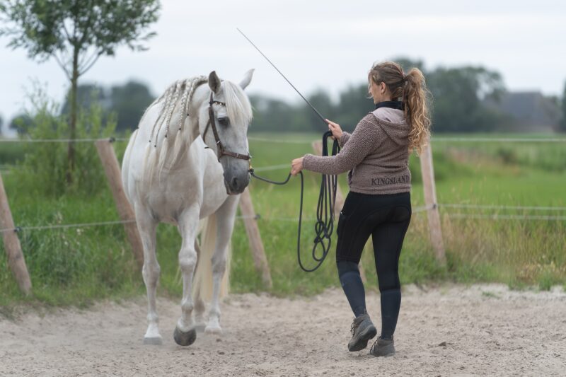 Maxime Reintjes, Gecertificeerd instructeur