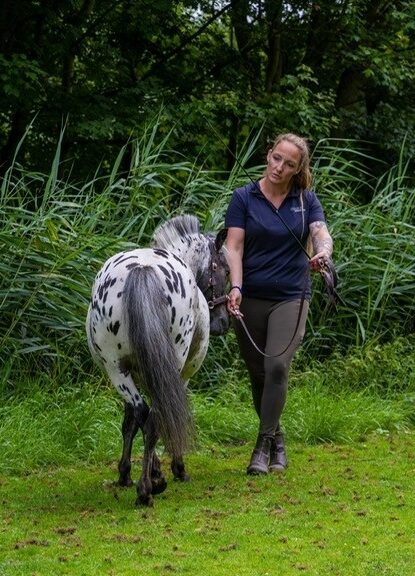 Cassandra Mol, Gecertificeerd instructeur